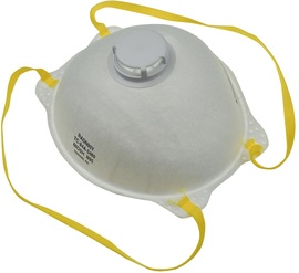 Radians N95V Disposable Particulate Respirator With Arctic Valve Exhalation Valve  (10 Per Box)