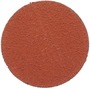 3M™ 2" 36 Grit Disc